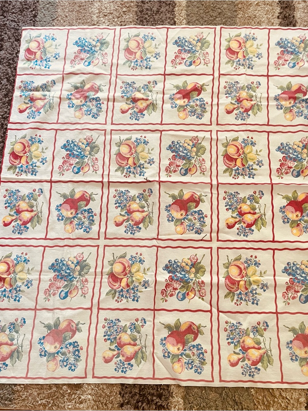 Vintage textile white farmhouse Tablecloth Fruit motif Red grid pattern